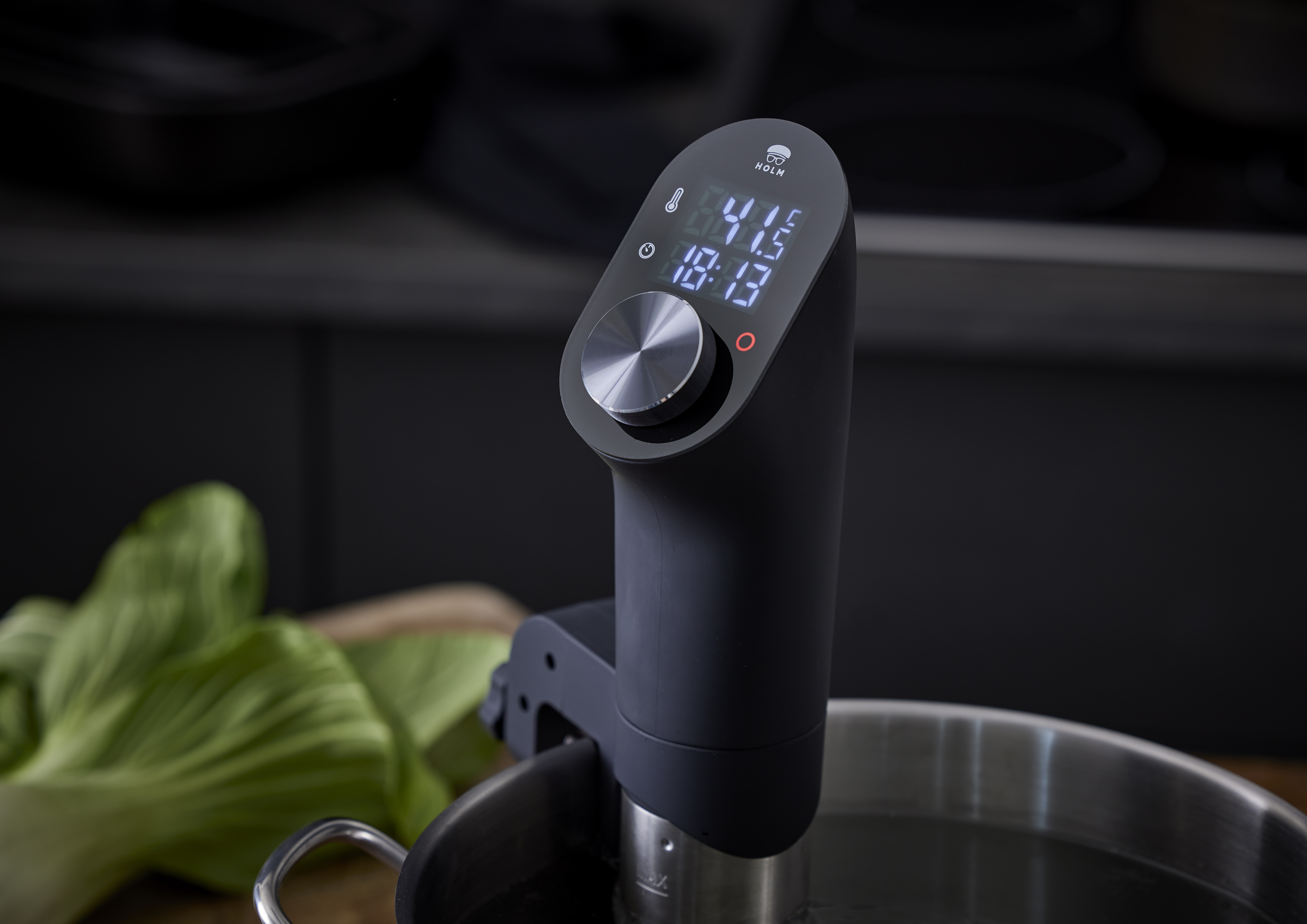 

HOLM Sous-vide stick 1200 watt
